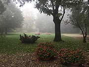 So liess sich der wunderschöne Park hinter der Villa Cantoni in Gropello Cairoli nur erahnen (©Foto: Martin Schmitz)